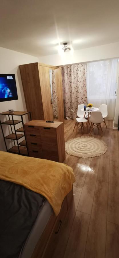 Апартаменти Ana Studio Тиргу-Муреш Екстер'єр фото